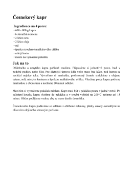 Recept ve formátu PDF