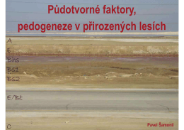 PDF: 6,5 MB - pralesy.cz