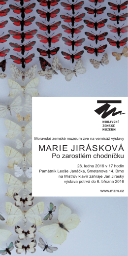 MARIE JIRÁSKOVÁ - Moravské zemské muzeum