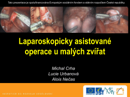 Laparoskopicky asistované operace u malých
