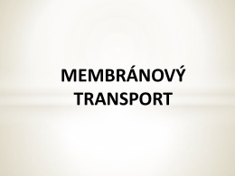 Transportní mechanismy