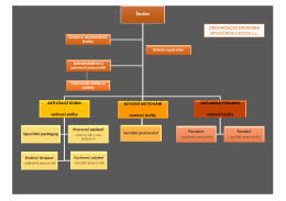 Ředitel ORGANIZAČNÍ STRUKTURA SPOLEČNOU CESTOU z.s.