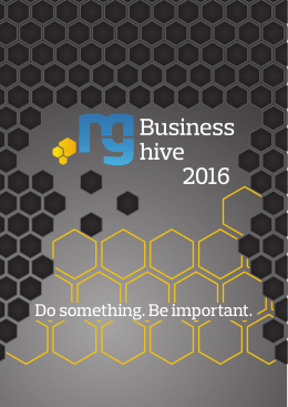 Business hive 2016
