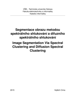 Segmentace obrazu metodou spektrálního shlukování a