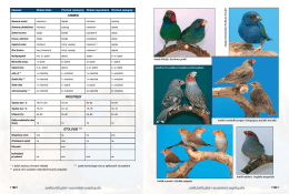 / 162 / / 163 / Astrildovití ptáci – chovatelská encyklopedie