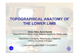 Topographical Anatomy of the Lower Limb
