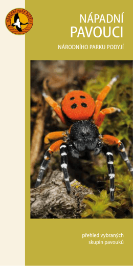 pavouci - Správa národního parku Podyjí