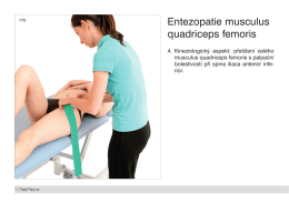 Entezopatie musculus quadriceps femoris
