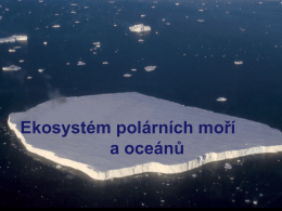 Ekosystém polárních moří a oceánů