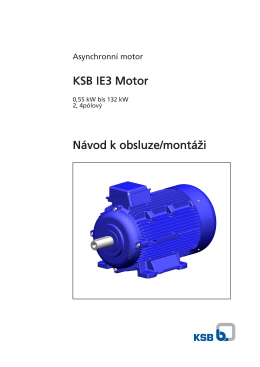 KSB IE3 Motor