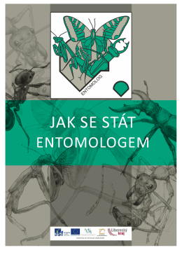 Entomolog - Vlastivědné muzeum a galerie v České Lípě