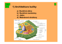 1) Architektura buňky