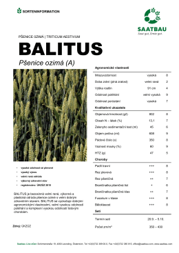 ozimá pšenice BALITUS