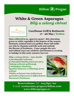 White & Green Asparagus Bílý a zelený chřest CzecHouse Grill