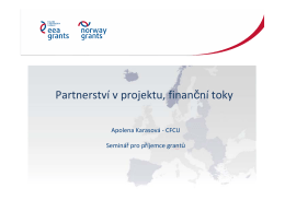 Partnerství v projektu, finanční tokyPDF