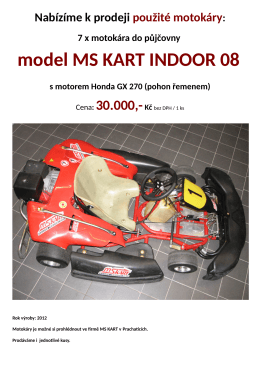 model MS KART INDOOR 08