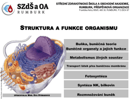 3_struktura a funkce organismu_new - zizi.com