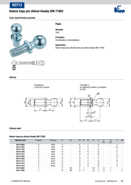 Datový list K0713 Kulové čepy pro úhlové klouby DIN 71803