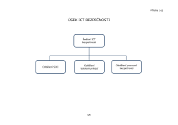 Úsek ICT bezpečnosti (soubor PDF)