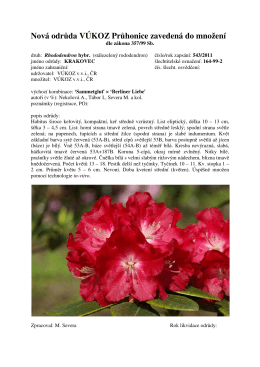 Rhododendron KRAKOVEC 2011
