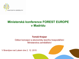 Příloha 4 - Výstupy ministerské konference FE v Madridu 0212102015