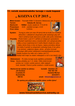 Kozina cup 2015