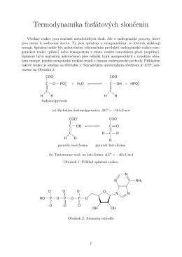 Termodynamika fosfátových sloučenin