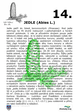 Tabule - JEDLE z