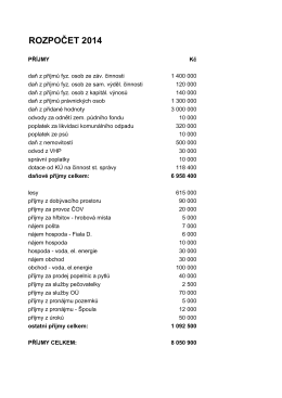 rozpočet 2014 - Obec Dubnice