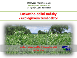Luskovino-obilní směsky v ekologickém zemědělství