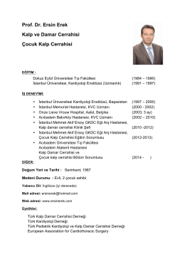 Ersin Erek CV - Prof. Dr. Ersin EREK