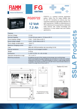 pdf specsheet - National Battery