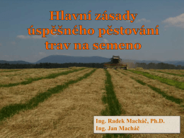 Hlavní zásady úspěšného pěstování trav na semeno