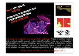 ph.D. studium na OU: ekologická genetika netopýrů rodu Pipistrellus