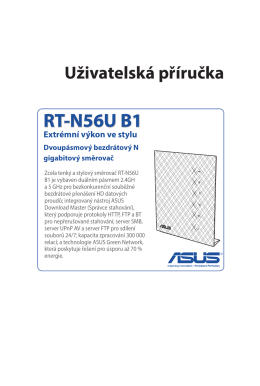 RT-N56U B1