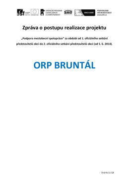 ORP_Bruntal_Zprava_o_postupu