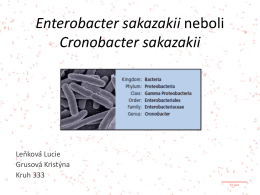 Enterobacter sakazakii versus Cronobacter sakazakii