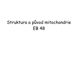 Struktura a původ mitochondrie EB 48