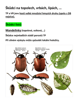 NOL_Hmyzí škůdci topolu, vrby, olše, lípy a ostatních