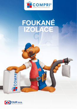 Foukane izolace