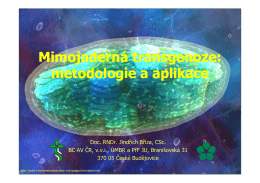 Mimojaderná transgenoze: metodologie a aplikace Mimojaderná