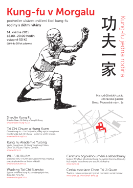 Kungfu plakat exibice last - Česká asociace Chen Tai Ji Quan