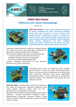 AMEX Mini Robot (ulotka informacyjna)