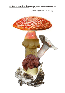 4. Jedovaté houby – najdi, které jedovaté houby jsou ukryté v