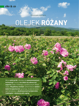 Beauty Forum nr 12, 2014 ” Olejek różany”