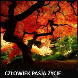 Pobierz PDF - Orange Tree Of Life