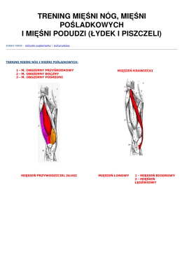 Trening mięśni nóg, mięśni pośladkowych i mięśni podudzi