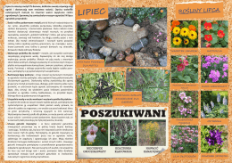 kalendarz ogrodnika lipiec - Zaborski Park Krajobrazowy