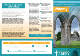 Witamy - Glastonbury Abbey