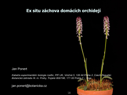 Ex situ záchova domácích orchidejí
